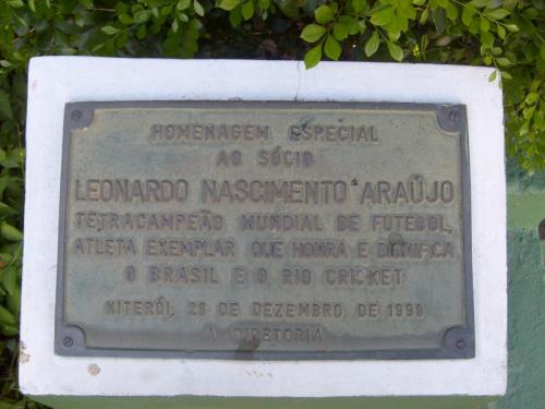 placas (8)